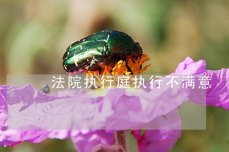 法院执行庭执行不满意 法院执行庭执行不满意