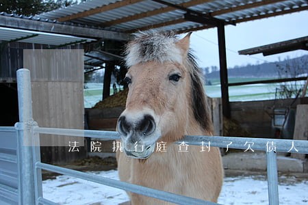 法院执行庭查封了欠债人的车 法院执行庭查封了欠债人的车