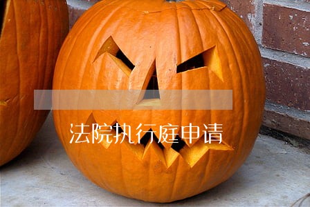 法院执行庭申请 法院执行庭申请