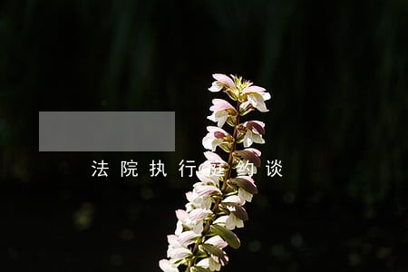 法院执行庭约谈 法院执行庭约谈