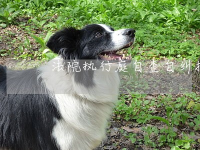 法院执行庭自查自纠报告 法院执行庭自查自纠报告