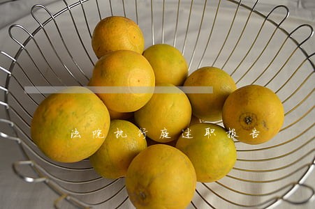 法院执行庭述职报告 法院执行庭述职报告