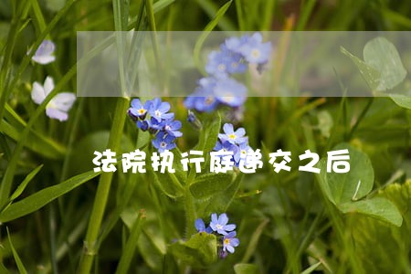 法院执行庭递交之后 法院执行庭递交之后