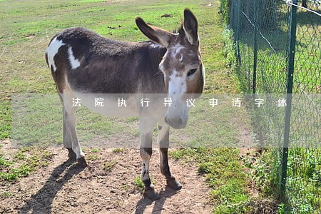 法院执行异议申请字体 法院执行异议申请字体