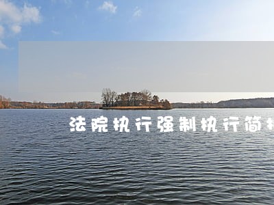 法院执行强制执行简报 法院执行强制执行简报