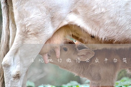 法院执行微信公众平台简介 法院执行微信公众平台简介