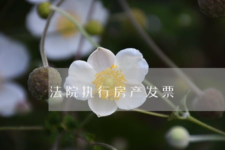 法院执行房产发票 法院执行房产发票