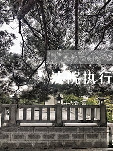 法院执行房产家属隐瞒 法院执行房产家属隐瞒