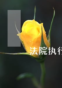 法院执行手段淘宝
