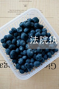 法院执行报告 法院执行报告
