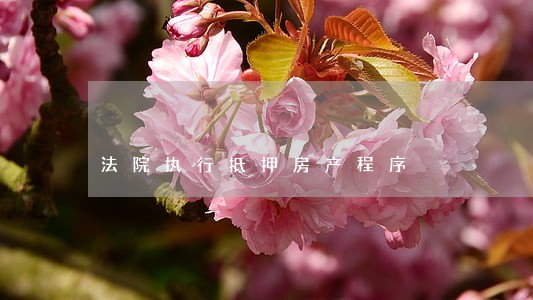 法院执行抵押房产程序 法院执行抵押房产程序