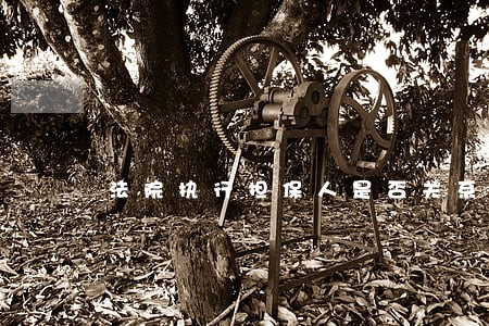 法院执行担保人是否关系到妻子