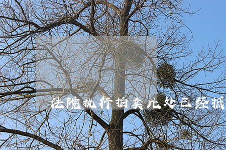 法院执行拍卖此处已经抵押的房产 法院执行拍卖此处已经抵押的房产