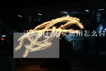 法院执行拍卖费用怎么付 法院执行拍卖费用怎么付