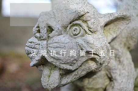 法院执行拘留十五日 法院执行拘留十五日