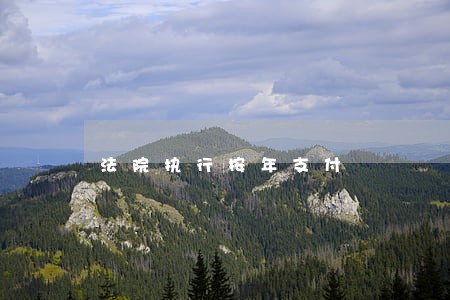 法院执行按年支付 法院执行按年支付