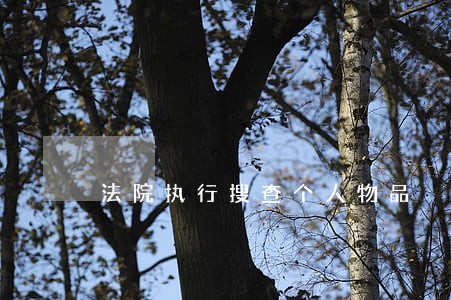 法院执行搜查个人物品 法院执行搜查个人物品