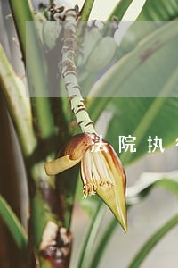法院执行救助资金管理 法院执行救助资金管理