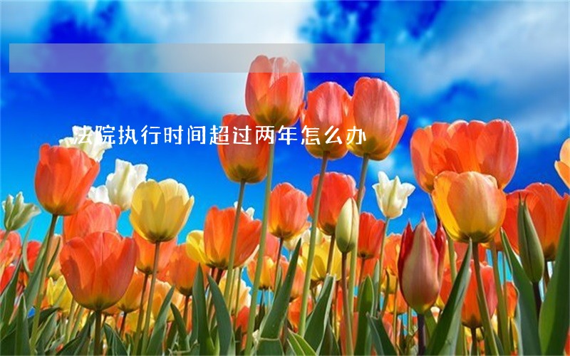 法院执行时间超过两年怎么办 法院执行时间超过两年怎么办