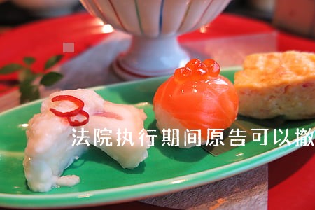 法院执行期间原告可以撤诉吗