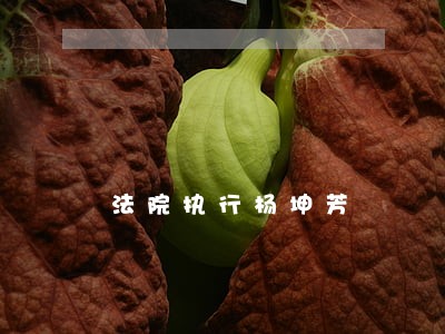 法院执行杨坤芳 法院执行杨坤芳