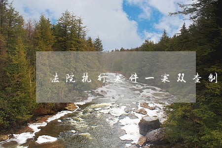 法院执行案件一案双查制度 法院执行案件一案双查制度