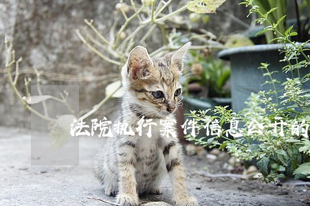 法院执行案件信息公开的进路思考 法院执行案件信息公开的进路思考