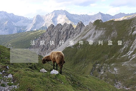 法院执行案件审判监督 法院执行案件审判监督