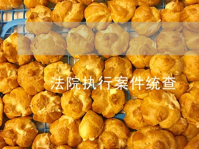 法院执行案件统查 法院执行案件统查
