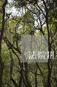 法院执行案号与判决案号 法院执行案号与判决案号