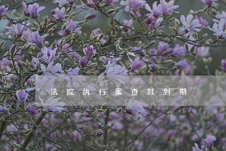 法院执行案查封到期 法院执行案查封到期