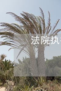 法院执行案的申诉模板 法院执行案的申诉模板