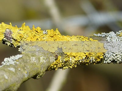 法院执行检讨书 法院执行检讨书