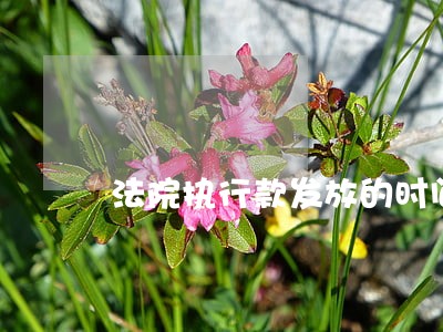 法院执行款发放的时间 法院执行款发放的时间