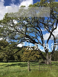 法院执行款没执行到位