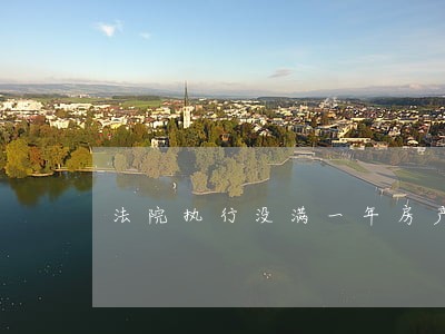 法院执行没满一年房产