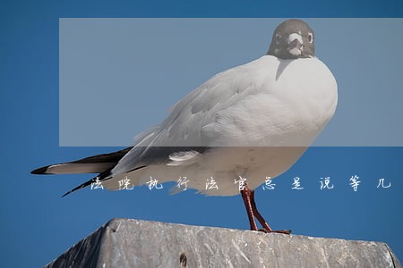 法院执行法官总是说等几天等等 法院执行法官总是说等几天等等