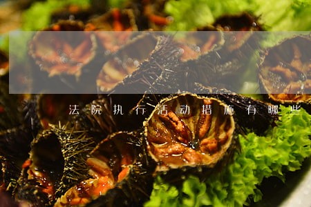 法院执行活动措施有哪些