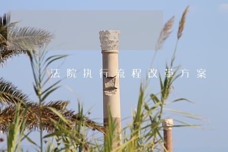 法院执行流程改革方案 法院执行流程改革方案