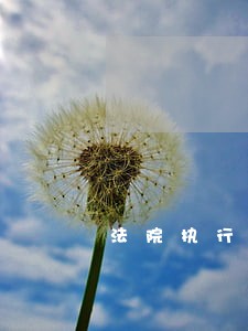 法院执行申请时需要什么手续