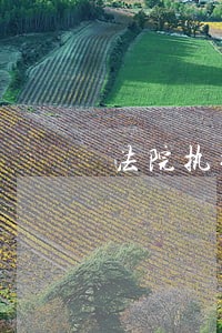 法院执行百日清案 法院执行百日清案