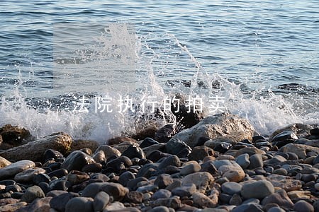 法院执行的拍卖 法院执行的拍卖