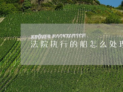 法院执行的船怎么处理 法院执行的船怎么处理