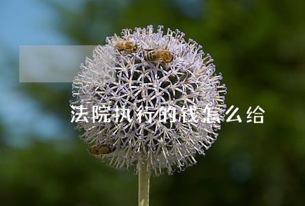 法院执行的钱怎么给