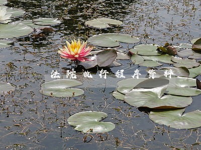 法院执行程序资料 法院执行程序资料
