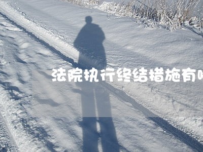 法院执行终结措施有哪些 法院执行终结措施有哪些