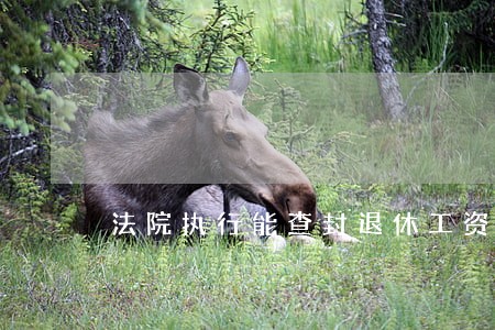 法院执行能查封退休工资吗 法院执行能查封退休工资吗