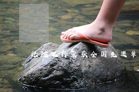 法院执行荣获全国先进单位 法院执行荣获全国先进单位