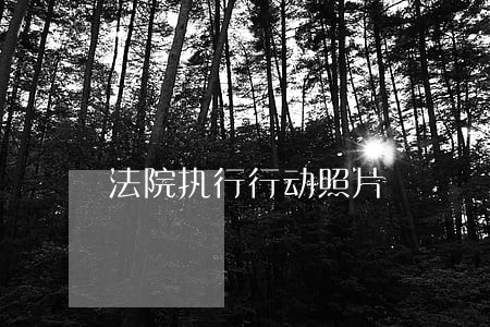 法院执行行动照片