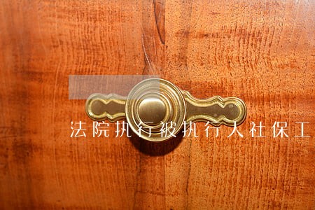 法院执行被执行人社保工资 法院执行被执行人社保工资